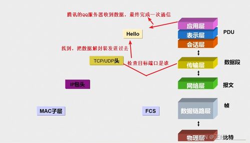 计算机网络基础 OSI模型与TCP/IP协议的关系及其在网络安装维护中的应用
